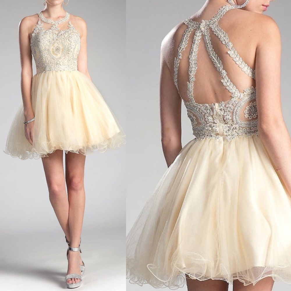 Elegant Cream Lace Mini Dress